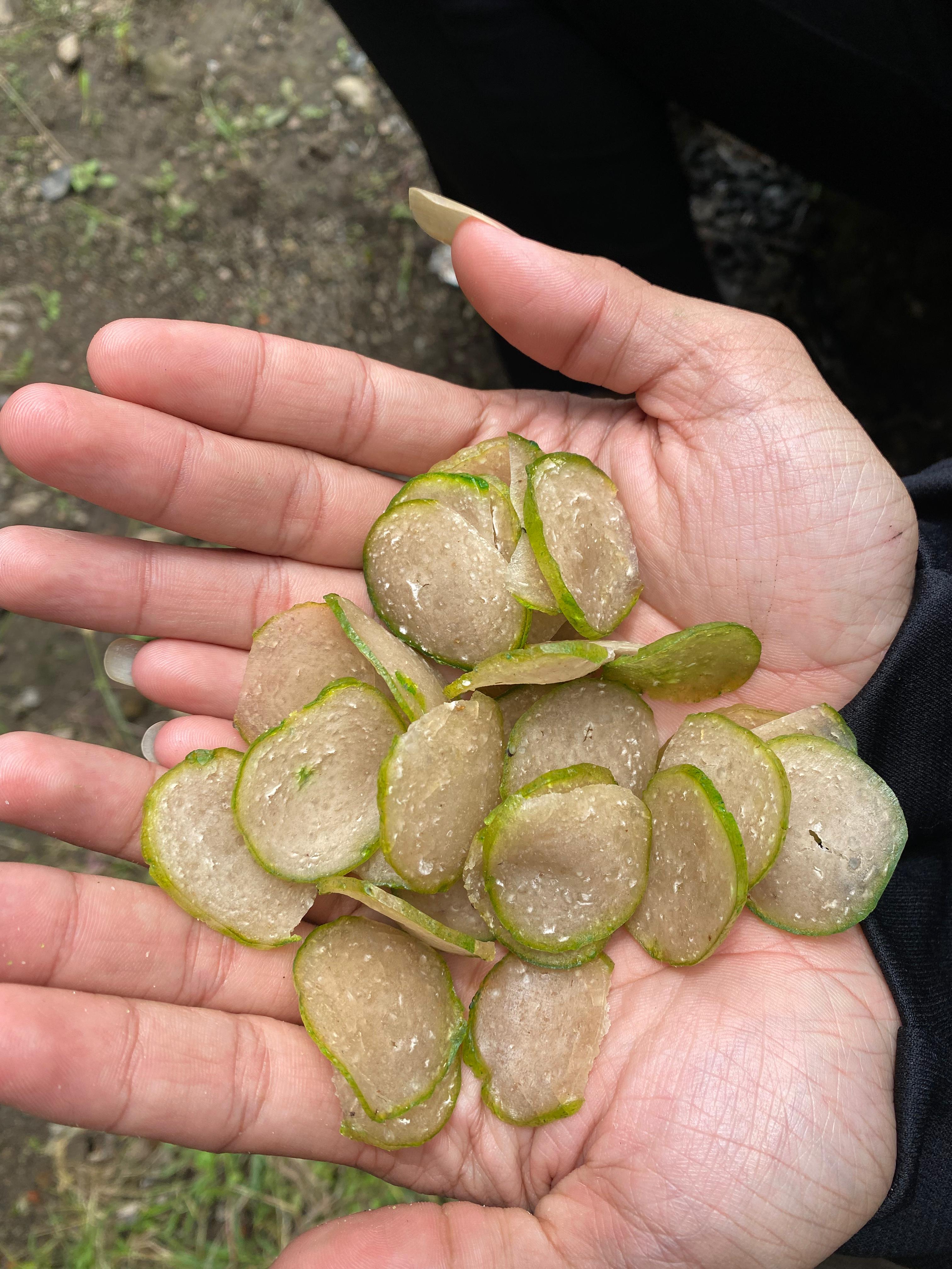 Krupuk Jengkol dan Terasi